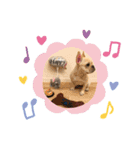 きなこののんびりライフ（個別スタンプ：7）