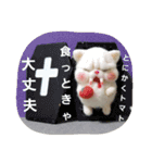 モコチコのブサネコさん（個別スタンプ：14）