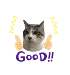 ねこだけに。（個別スタンプ：1）