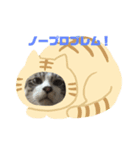 ねこだけに。（個別スタンプ：2）