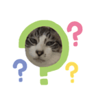 ねこだけに。（個別スタンプ：6）