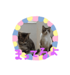 ねこだけに。（個別スタンプ：7）