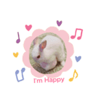 うさぎのパルちゃん（個別スタンプ：5）