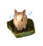 うさぎのパルちゃん（個別スタンプ：8）