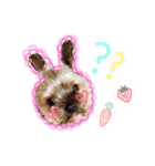 もずくくん 1（個別スタンプ：1）