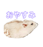 ぱちょぱちょスタンプ（個別スタンプ：7）