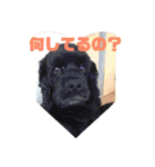 村上家の1日（個別スタンプ：10）