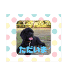 村上家の1日（個別スタンプ：11）