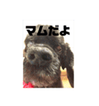 村上家の1日（個別スタンプ：22）