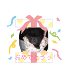 エミリヴ（個別スタンプ：2）