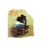 エミリヴ（個別スタンプ：7）