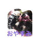 エミリヴ（個別スタンプ：8）