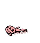 rabit！ rabit！ rabit！ Sticker（個別スタンプ：21）