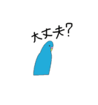 セキセイインコの毎日（個別スタンプ：2）