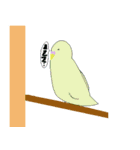 セキセイインコの毎日（個別スタンプ：3）
