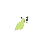セキセイインコの毎日（個別スタンプ：10）
