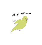 セキセイインコの毎日（個別スタンプ：13）