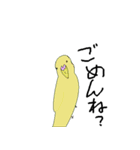 セキセイインコの毎日（個別スタンプ：16）