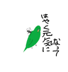セキセイインコの毎日（個別スタンプ：18）