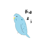 セキセイインコの毎日（個別スタンプ：22）
