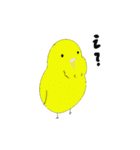 セキセイインコの毎日（個別スタンプ：23）