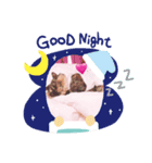 ミリちゃんスタンプ(๑♡ᴗ♡๑)（個別スタンプ：4）