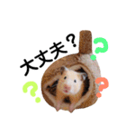 ハムスターのうめとつばき3（個別スタンプ：7）