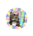 みる姐さんの敬語スタンプ♪（個別スタンプ：1）