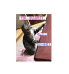 みる姐さんの敬語スタンプ♪（個別スタンプ：4）