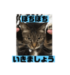 みる姐さんの敬語スタンプ♪（個別スタンプ：5）