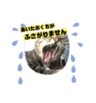 みる姐さんの敬語スタンプ♪（個別スタンプ：10）
