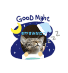 みる姐さんの敬語スタンプ♪（個別スタンプ：14）