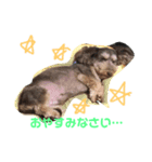 ムーニーの日常（個別スタンプ：2）
