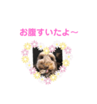 ムーニーの日常（個別スタンプ：4）