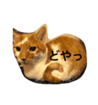 にゃんこオリジナル（個別スタンプ：7）