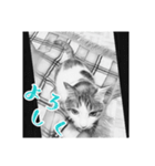ネコねこダイナマイト！（個別スタンプ：4）