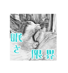 ネコねこダイナマイト！（個別スタンプ：5）