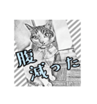 ネコねこダイナマイト！（個別スタンプ：10）