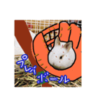 北の国からおコンニチワ（個別スタンプ：2）
