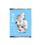 北の国からおコンニチワ（個別スタンプ：10）