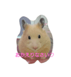 はむはむハムちゃんず（個別スタンプ：2）