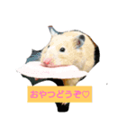 はむはむハムちゃんず（個別スタンプ：4）