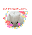 はむはむハムちゃんず（個別スタンプ：6）