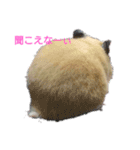 はむはむハムちゃんず（個別スタンプ：9）