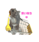 はむはむハムちゃんず（個別スタンプ：14）