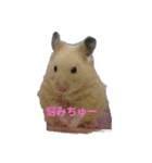 はむはむハムちゃんず（個別スタンプ：15）