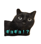 キクラゲと千代錦（個別スタンプ：6）