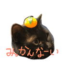 キクラゲと千代錦（個別スタンプ：7）