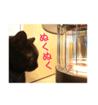 キクラゲと千代錦（個別スタンプ：9）