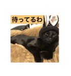 キクラゲと千代錦（個別スタンプ：20）